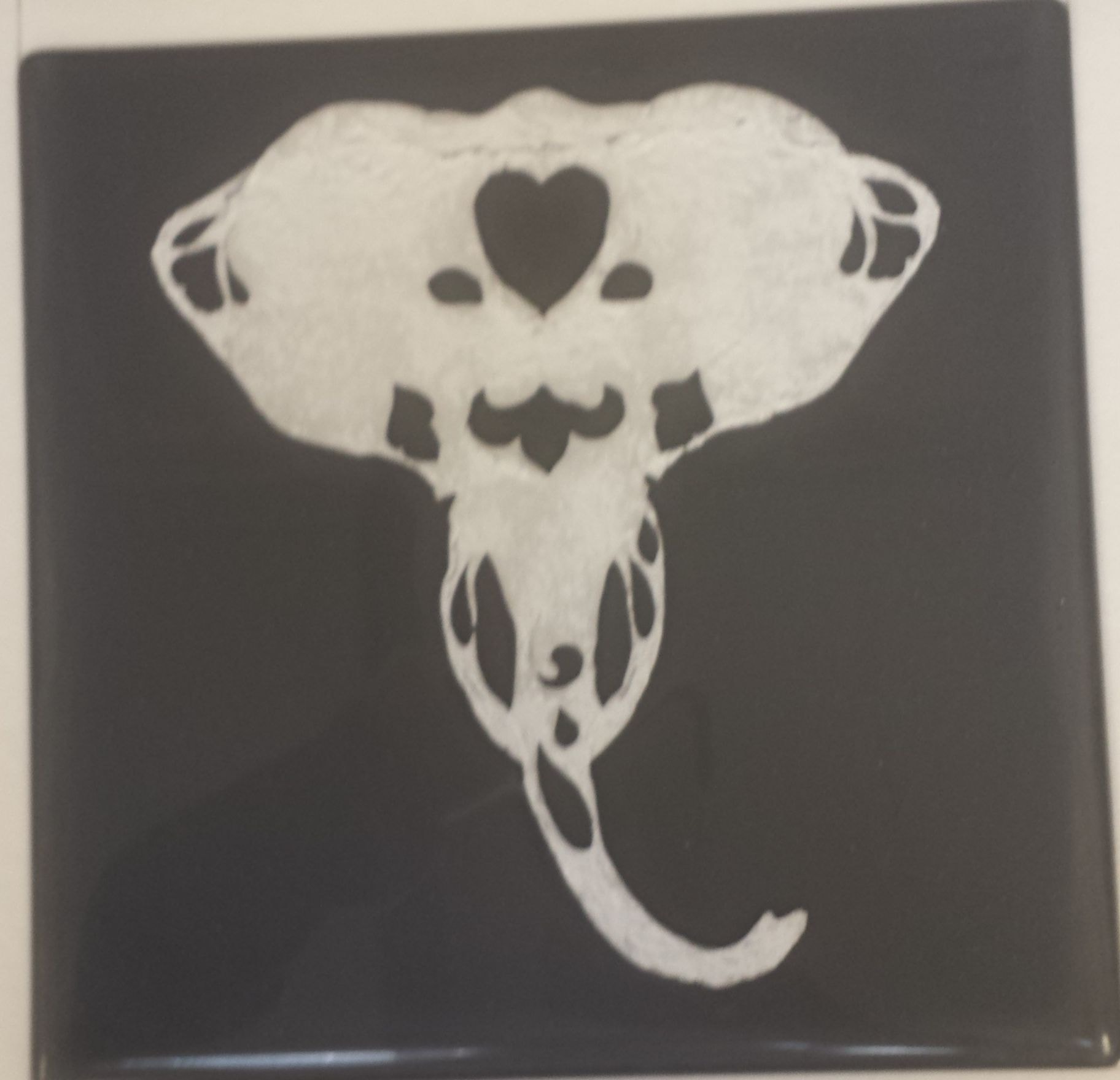 Ivory Ghost — finished fused glass tile showing an elephant head cutout of fire paper sandwiched between glass.