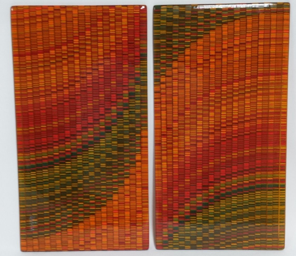 Tapestry process - private collection. Two 8x16 wall panels.